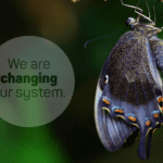 The system will change soon (official newsletter, July 22, 2022)