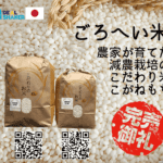【Sold out thanks and addition of stock】10kg of new white rice was sold out, but the merchant added more stock